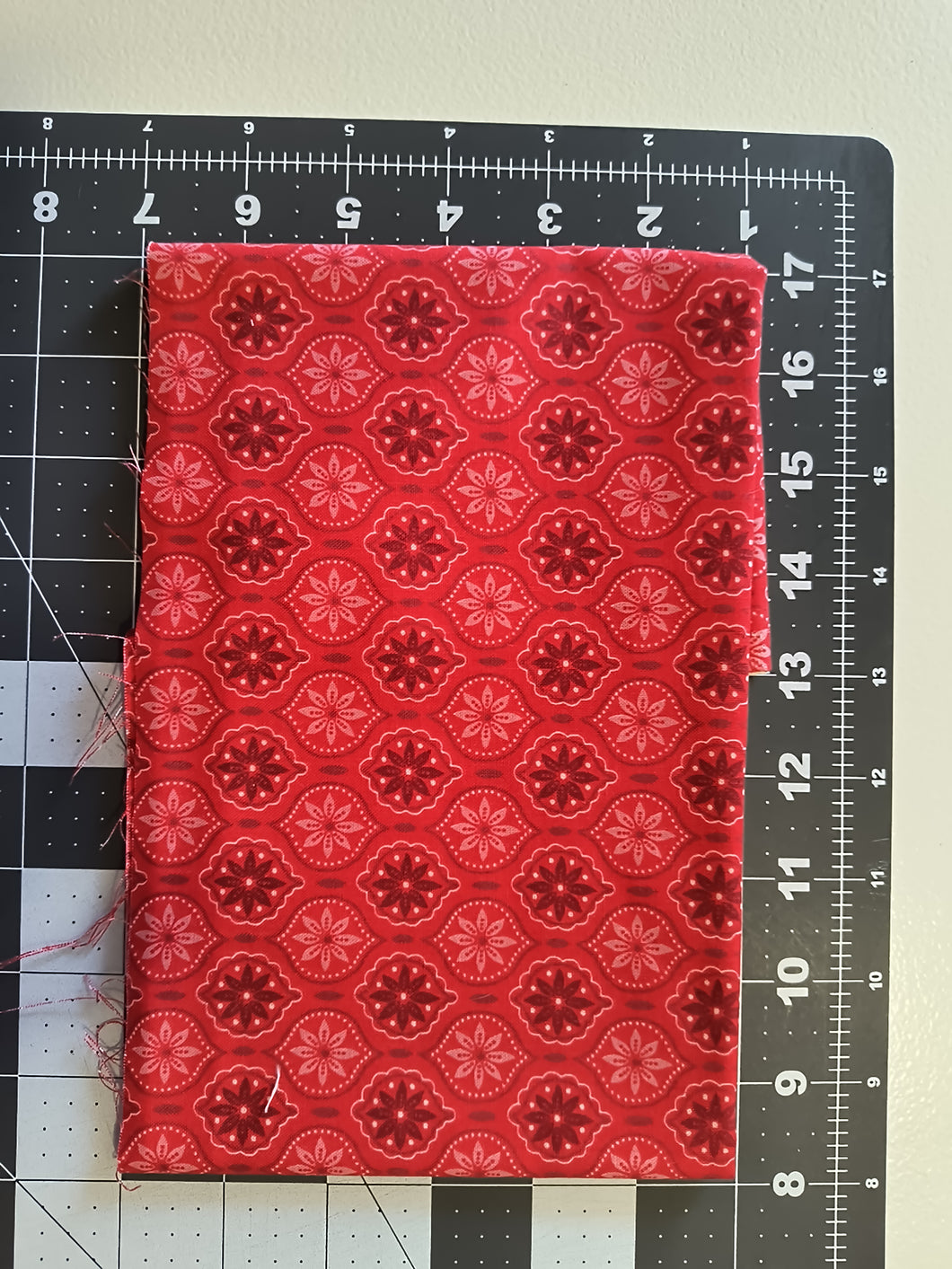 #62 - 0.25M - Cotton Fabric